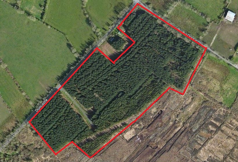 Forests for sale throughout Ireland