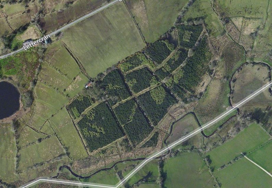 Paul Lafferty Forestry Sales